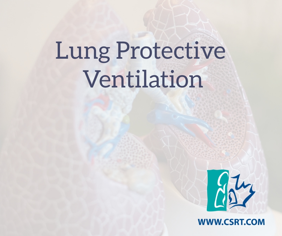Lung Protective Ventilation (2)